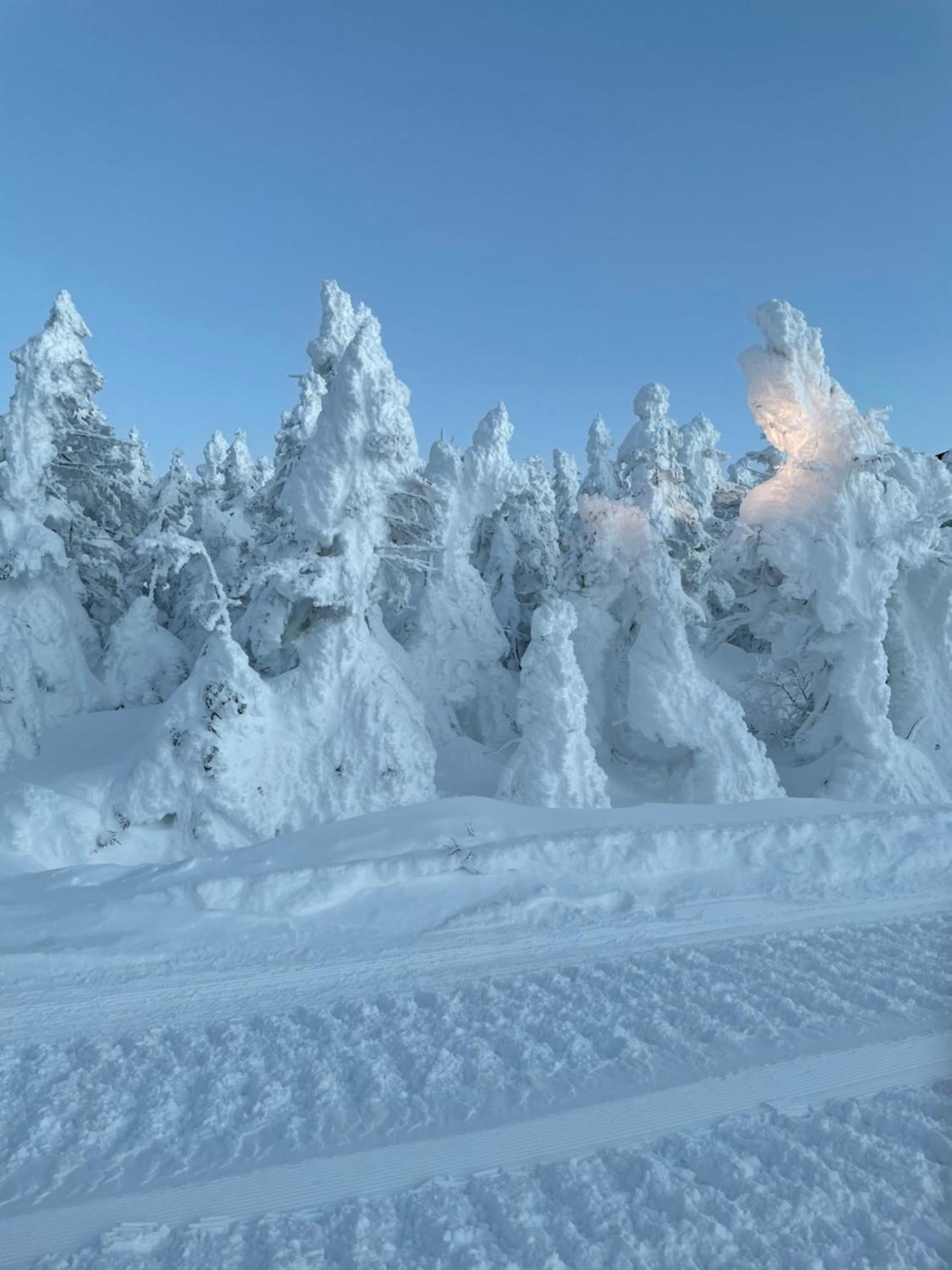 Shiga Kogen *
